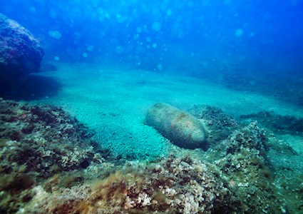 The bottom of the ocean floor. In the foreground is an unexploded bomb covered in algae and in the background is a row of coral. 