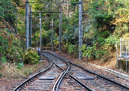 Railroad tracks merging with switcher in green forest