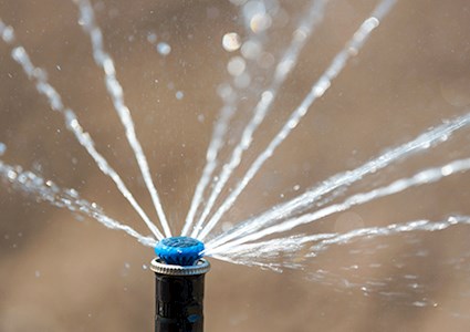 A sprinkler head spraying water