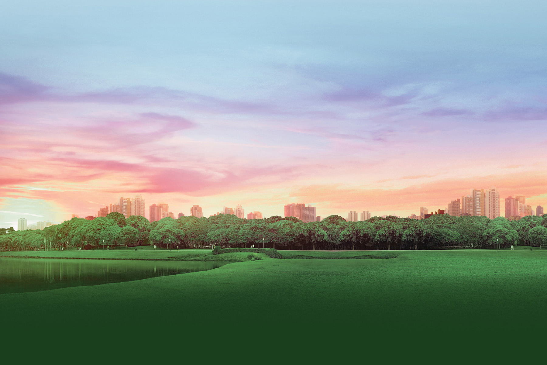 The skyline of Curitiba rises behind the trees of one of the city’s many parks.