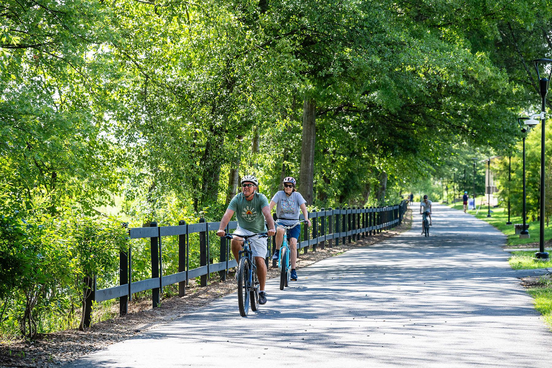 Cyclists are shown riding along a path shaded by trees on both sides. 